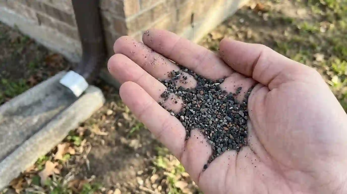 Shingle granules collected from a gutter